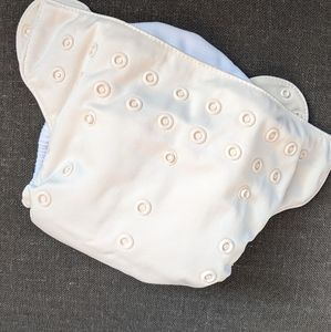 Bum Genius All in One Cloth Diaper
